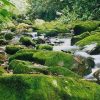 16 BEST HIKING TRAILS IN COSTA RICA