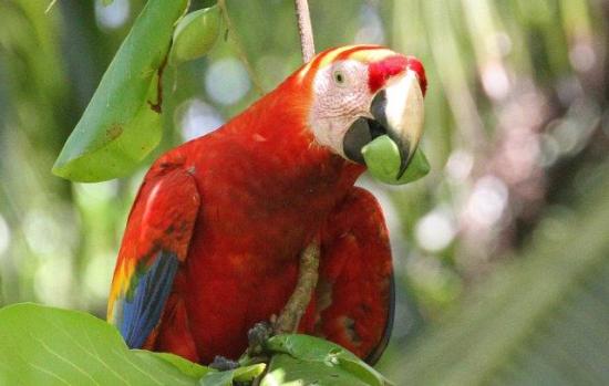 16 BEST HIKING TRAILS IN COSTA RICA