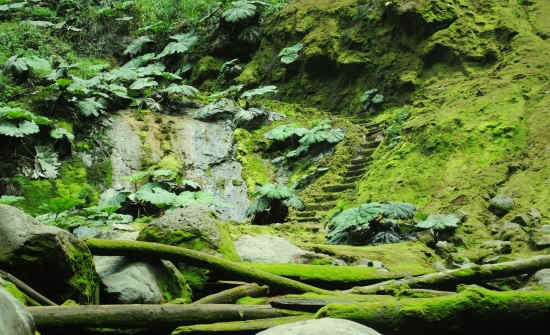 5 COSTA RICA WATERFALLS YOU MUST VISIT