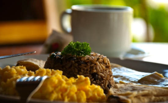 7 Costa Rica Food Staples You Must Try