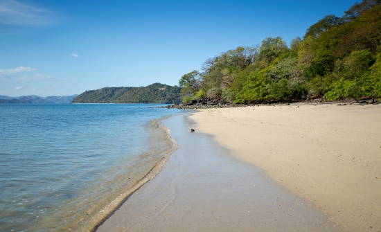 8 BEST COSTA RICA DIVING & SNORKELING SPOTS