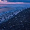 8 Costa Rica Natural Mysteries You Have to See to Believe