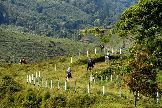 14 of the Most Breathtaking Horseback Riding Tours in Costa Rica