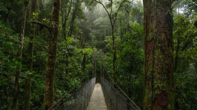 Arenal Hanging Bridges Hike Tour