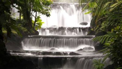 Arenal Volcano and Tabacon Hot Springs Tour