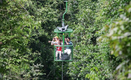 Best Family Vacation Spots in Costa Rica