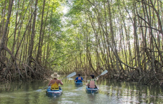 7 TOP COSTA RICA KAYAKING EXCURSIONS