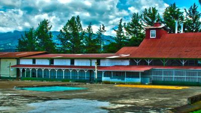 6 Best Costa Rica Coffee Plantation Tours