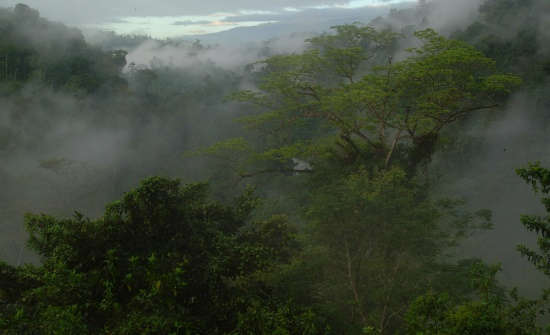 9 Best Costa Rica National Parks & Reserves