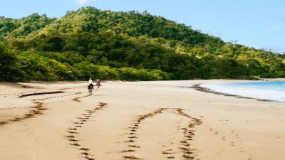 Best Time to Visit Costa Rica: What to Expect Month by Month