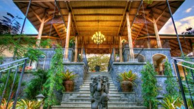 Stay at Bodhi Tree Yoga Resort, Costa Rica