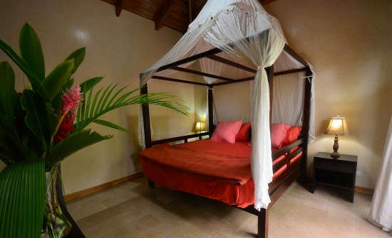 Stay at Bodhi Tree Yoga Resort, Costa Rica