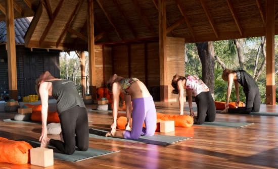 Stay at Bodhi Tree Yoga Resort, Costa Rica