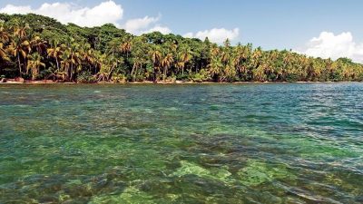 Cahuita National Park Guide