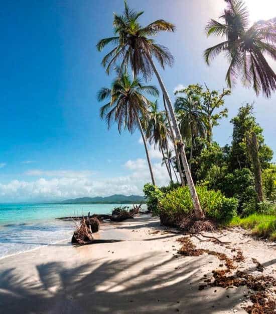 Cahuita National Park beach
