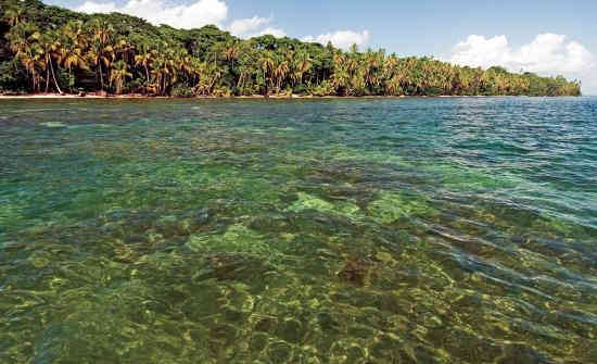 Cahuita National Park Snorkeling