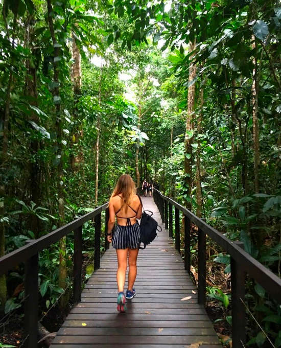 Cahuita National Park trail