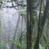 Change of Scenery in Costa Rica