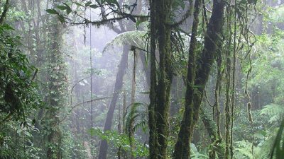 Change of Scenery in Costa Rica