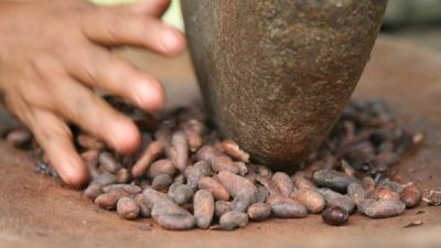 Coffee and Chocolate Tour