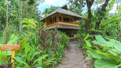 Copa de Arbol Rainforest Lodge, Costa Rica