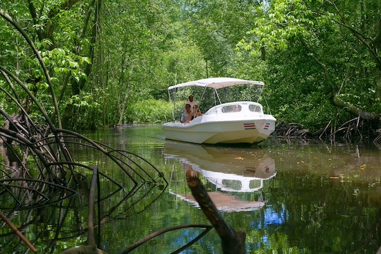 Copa de Arbol River Boat Tour