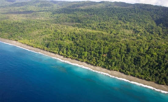 Best Jungle and Mangrove Tours in Costa Rica