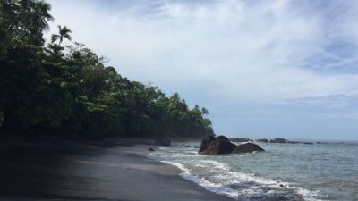 Corcovado National Park Full Day Tour