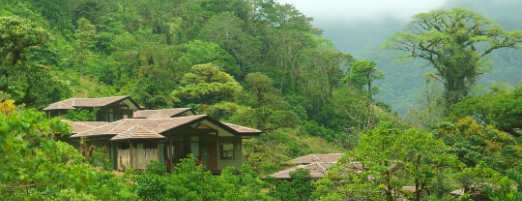 TOP 4 COSTA RICA CLOUD FORESTS