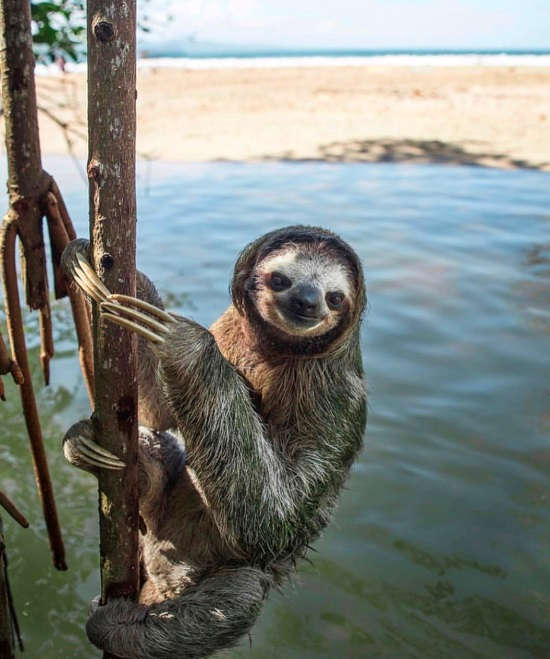 The Most Instagrammable Spots in Costa Rica