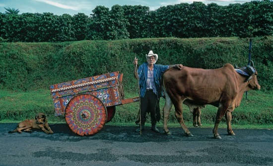 Día del BoDía del Boyero—a celebration that takes place in Escazú honoring oxcarts drivers.yero—a celebration that takes place in Escazú honoring oxcarts drivers. - Copy