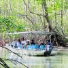 Damas Island Estuary Boat Tour