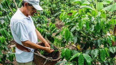 Don Juan Coffee & Chocolate Tour