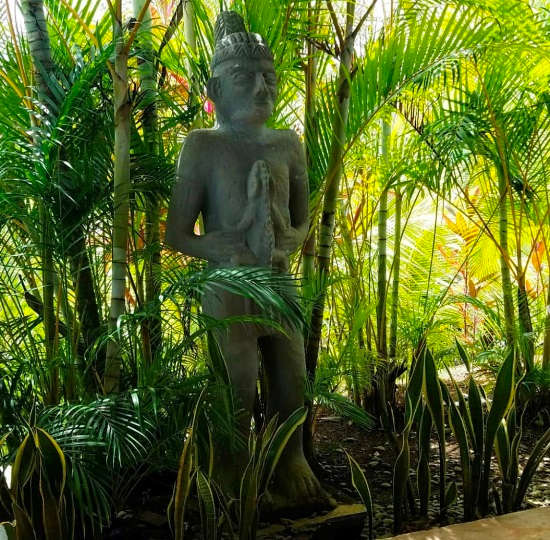 Adventure Meets Luxury in Costa Rica
