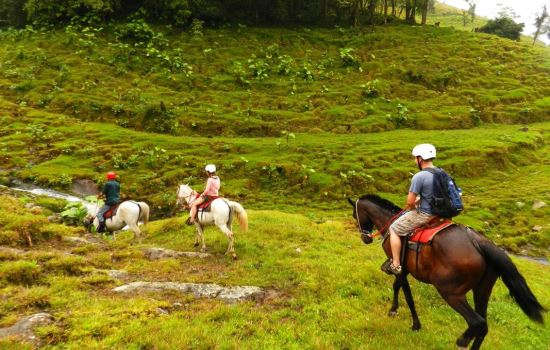 14 of the Most Breathtaking Horseback Riding Tours in Costa Rica