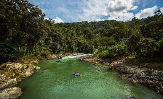 Experience World Class Rafting on the Pacuare River