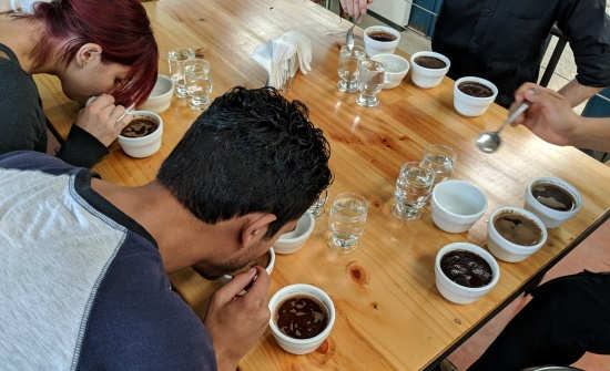 Finca Rosa Blanca Coffee Tour