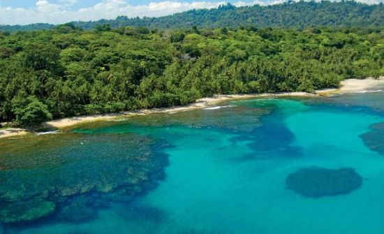 Gandoca Manzanillo Wildlife Refuge Snorkeling, Costa Rica