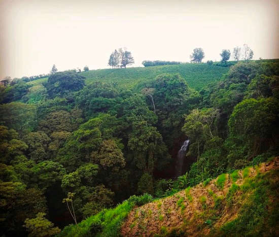 My 8-Day Luxury Adventure in Costa Rica