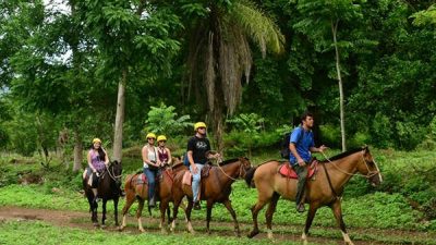 Horseback Riding with Ocean Views & Waterfalls
