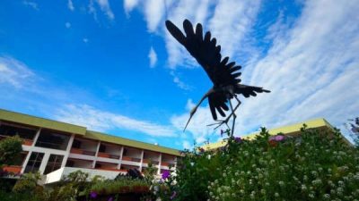 Hotel Bougainvillea Heredia