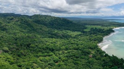 How to get to the Remote Osa Peninsula Rainforest