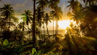 How to Travel Sustainably in Costa Rica