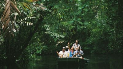 Jungle Fever Vacation Package