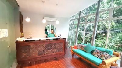 Jungle Vista Boutique Hotel reception