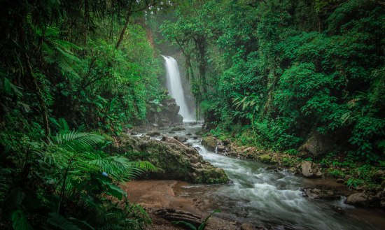 La Paz Waterfall Gardens Review