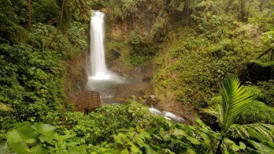 La Paz Waterfall Gardens Tour
