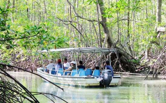 Manuel Antonio Extended Stay Activties