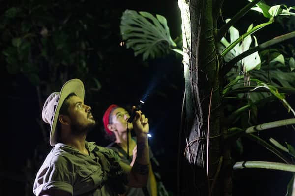 Manuel Antonio Night Tour