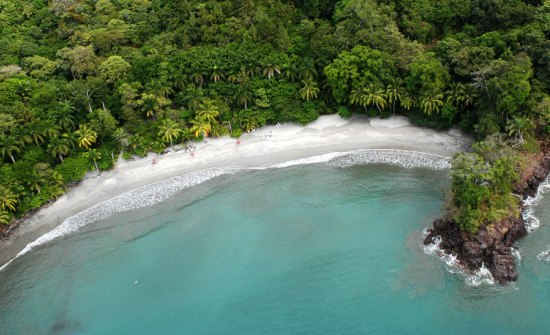 Manuel Antonio Travel Guide
